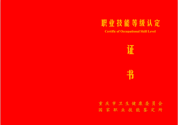 職業(yè)技能等級證書封面